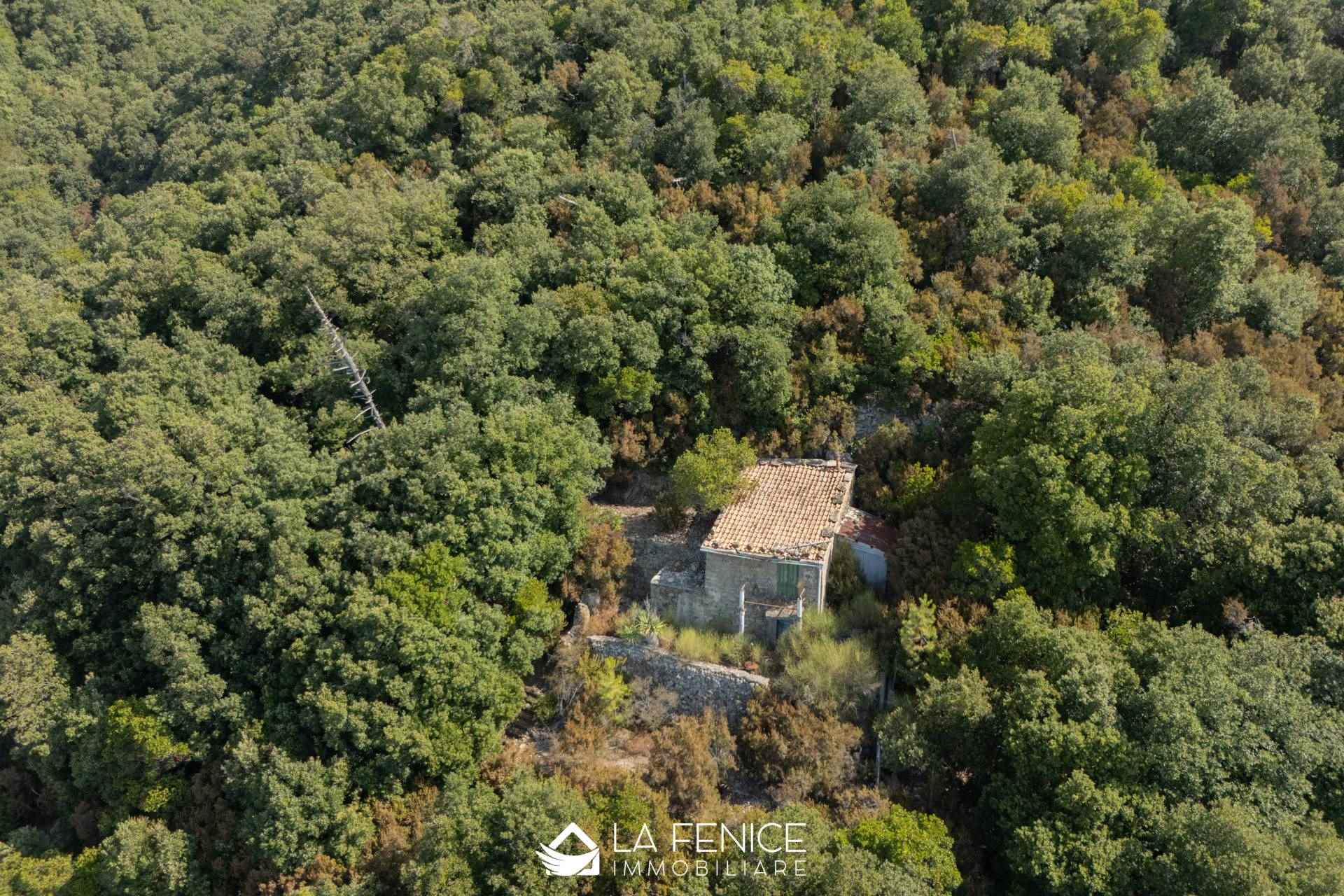 Rustico casale a La spezia con 2 locali di 49 m2 - Foto Rustico casale a La spezia con 2 locali di 49 m2 - Foto
